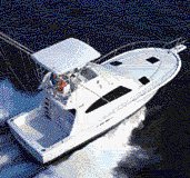 Photo of Luhrs Marine Group cabin cruiser.